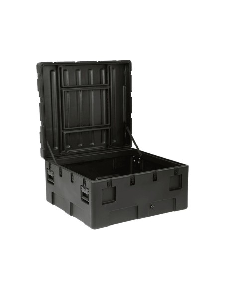 SKB Case rSeries 4238-20