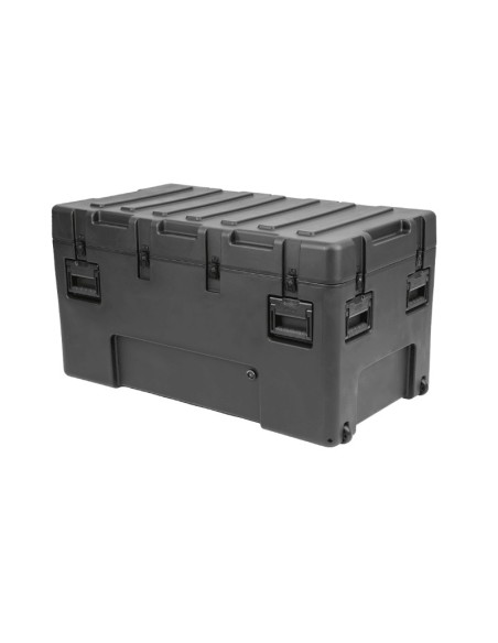 SKB Case rSeries 4222-24