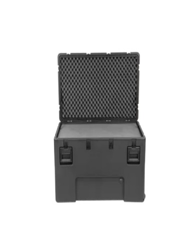 SKB Case rSeries 4222-24