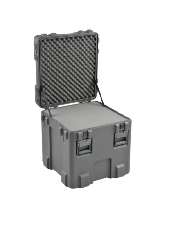 SKB CASE rSeries 2424-24